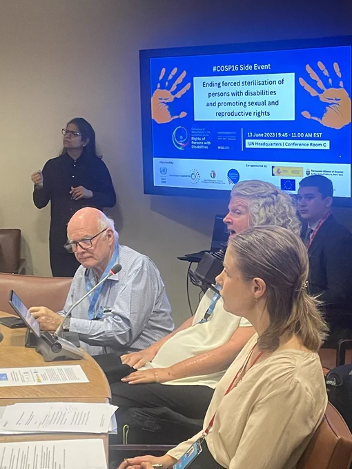 Rosemary Kayess, Vice Chair of the CRPD Committee, speaking at an event on forced sterilization at the United Nations.