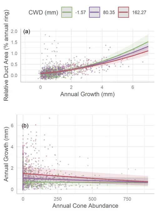 Results of models of relationships among relative duct area, annual growth and annual cone abundance in ponderosa pines. (a) Depicts the relationship between relative resin duct area and annual xylem growth, while (b) depicts the relationship between annual xylem growth and annual cone abundance. The impact of site climatic water deficit is shown by plotting 3 values ± 1 standard deviation away from the mean
