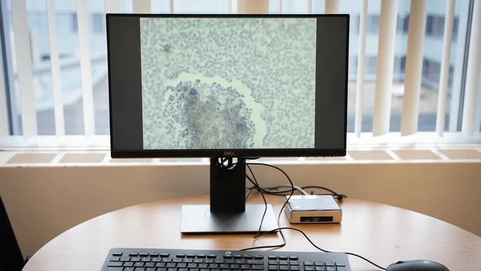 What is seen on the screen