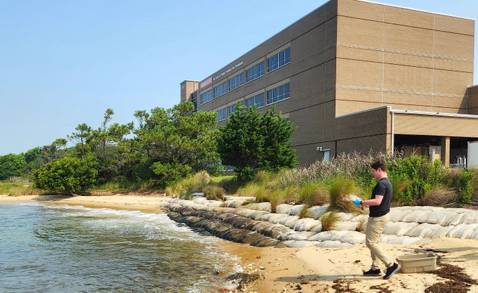 Last week, CMAST veterinarians removed a fishing hook from a Kemp’s Ridley sea turtle’s throat.  In the photo, Nick Dannemiller, an NC State Zoological Medicine Resident at CMAST, releases the Kemp's Ridley in Bogue Sound behind CMAST.

All six of the sea turtle species inhabiting US waters have been classified as threatened or endangered, partially due to human behavior, like getting hit by boats or by swallowing plastic products left behind on beaches and in waterways.  Do your part by disposing of your waste properly.

