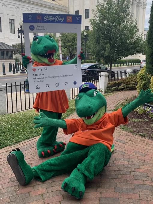 A photo of Albert and Alberta, the Florida Gators mascots, in the courtyard of Florida House on Capitol Hill.