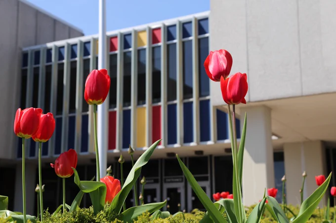 Red tulips are in the foreground with the doors of a large building in the background.