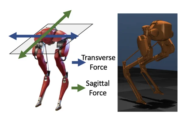 Cassie robot in real-world (left) and MuJoCo simulator (right) with annotations of the transverse and sagittal domains studied by this article.