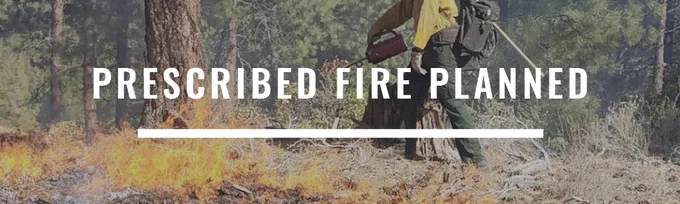 Prescribed fire planned.