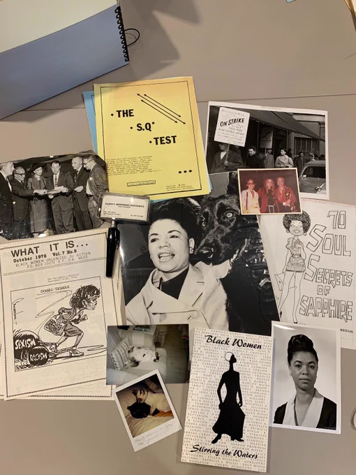 A selection of materials from the Aileen C. Hernandez papers. These materials include: photos of Hernandez at conferences and with her cats and german shepherd; pamphlets, newsletters, and booklets from organizations Herndandez worked with. 