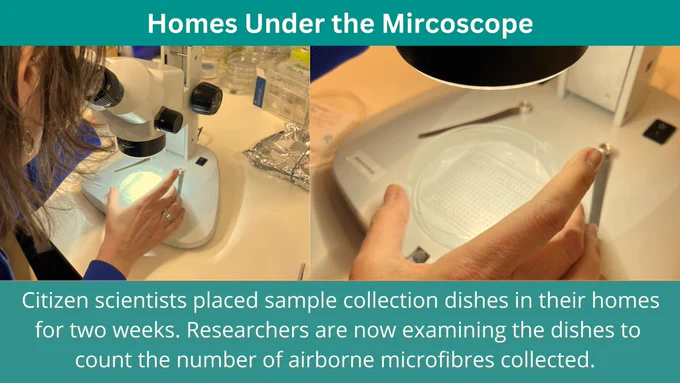 Image of person examining a petri dish under a microscope.  