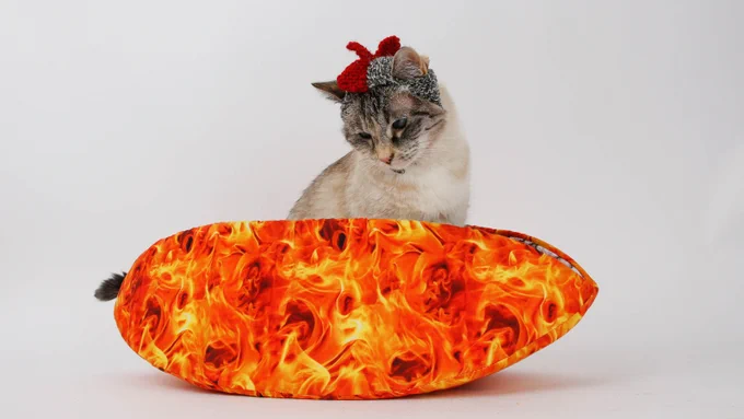 A small cat wearing a crochet chicken hat sits in a Cat Canoe modern cat bed made of a digitally printed fabric that looks like fire or flames. 
