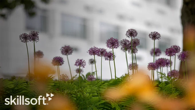 Campus flowerbed