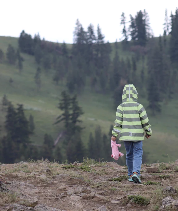 A photo of a boy walking down a rocky path in a green and gray striped raincoat holding onto his favorite stuffed axolotl toy. In the background is a bunch of pine trees on a distant mountainside.