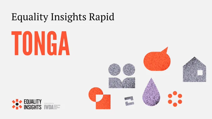 Large text that says 'Equality insights rapid'. There are purple, grey and orange icons representing the areas Equality Insights collects data on including a house, water, and people. 
