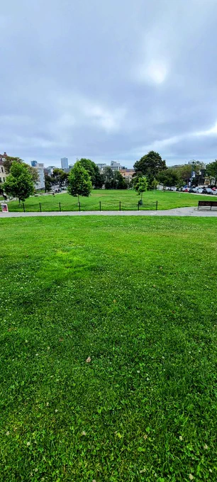 Duboce Park off leash dog area