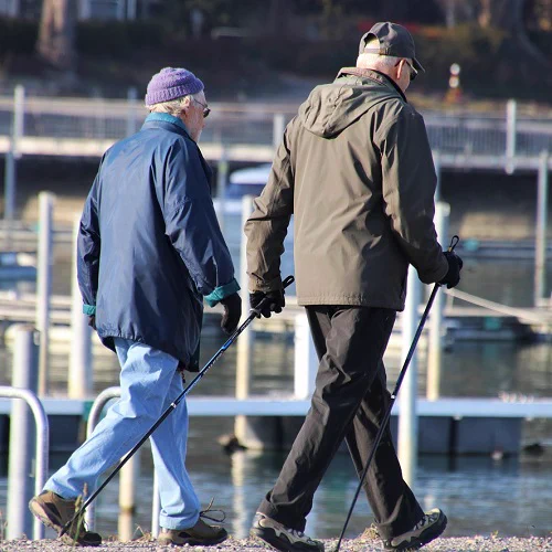 Two men walking with ski poles
