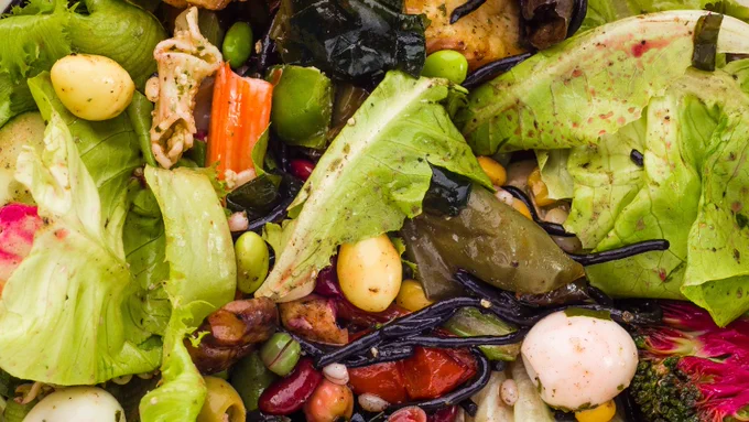 Photo: Food waste and scrapes in a recycle bin. 