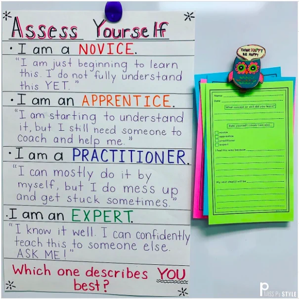 Alt text: Photograph of a display titled "Assess yourself." Below, here are four levels, each followed by an example: "I am a novice," "I am an apprentice," "I am a practitioner," and "I am an expert."