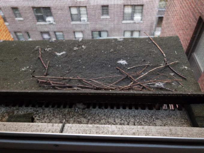 A few sticks and twigs on an air conditioner