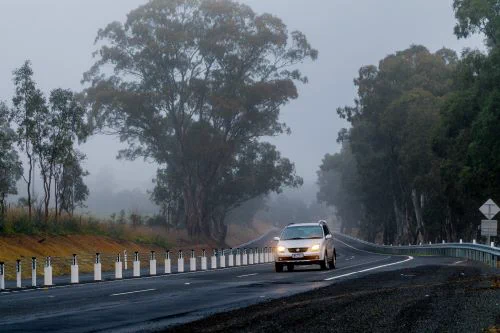A white car with its lights on driving on a sealed county road with trees and fog in the background.