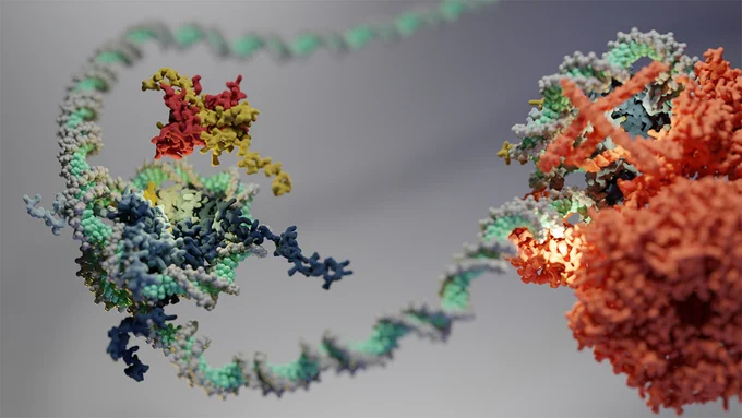 image credit: Luis Hauptmann / EMBL
