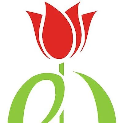 Parkinson's disease awareness image of a red tulip