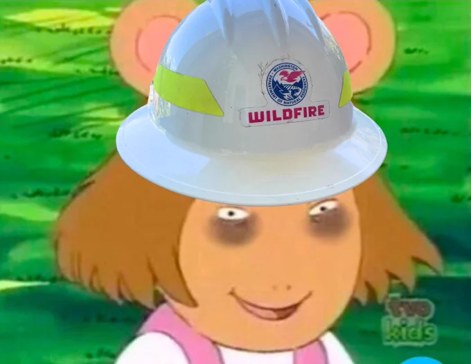 D W from the cartoon Arthur wears a D N R wildfire hard hat. She smiles, but the deep bags under her eyes betray a quiet desperation — one only felt by firefighters on holiday weekends that involve fireworks.