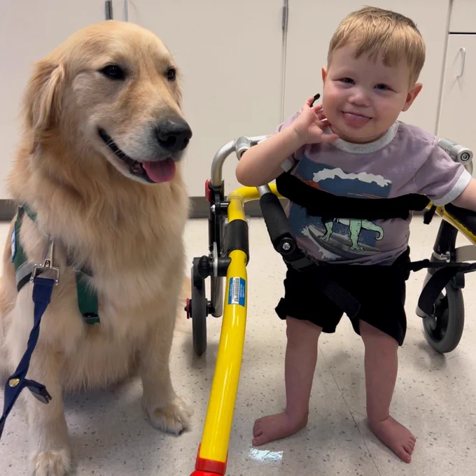 Jellybean is sitting next to Beckham who is using a walker to help him stand. 