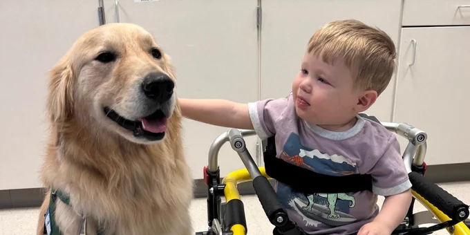 Jellybean is sitting next to Beckham who is reaching out to pet her and using a walker to help him stand. 