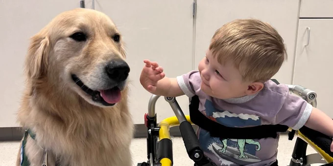 Jellybean is sitting next to Beckham who is reaching out to pet her and using a walker to help him stand. 