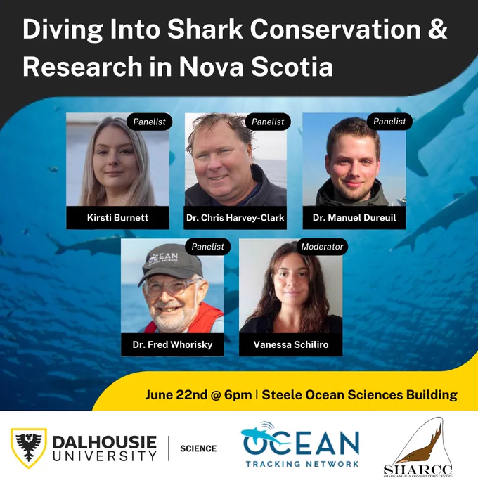 A poster advertising a panel discussion on shark research and conservation