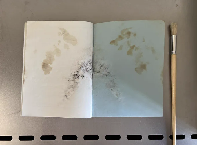 Opened pamphlet with mould and water damage, lying next to a cleaning brush. Image shows item before mould cleaning and the black mould spores are visible