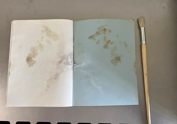 Opened pamphlet with mould and water damage, lying next to a cleaning brush. Image shows item before after cleaning and the black mould spores have been cleaned off
