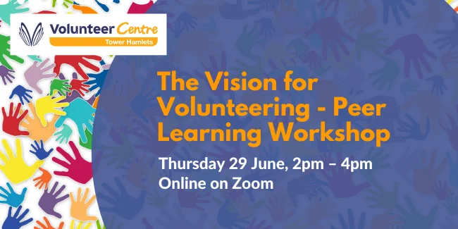 The Vision for Volunteering - Peer Learning Workshop