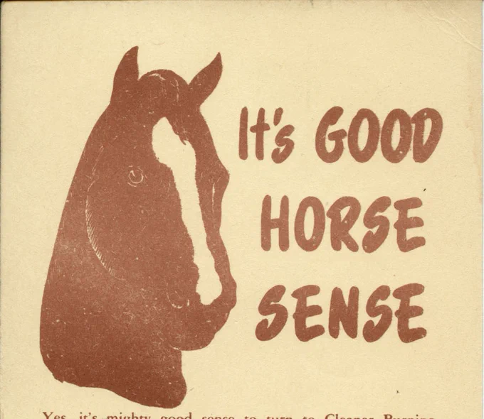 Top half of an advertisement that consists of the head of a horse with text that reads "It's Good Horse Sense"