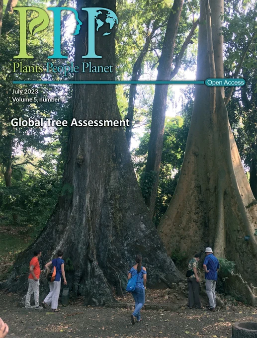 Tourists marvel at two iconic trees (Shorea leprosula Miq. and Ficus albipila (Miq.) King), known as the 'couple tree', in Kebun Raya, Bogor, Indonesia.