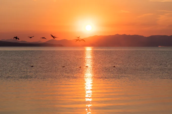 birds flying above a lake with mountains in the distance at sunset