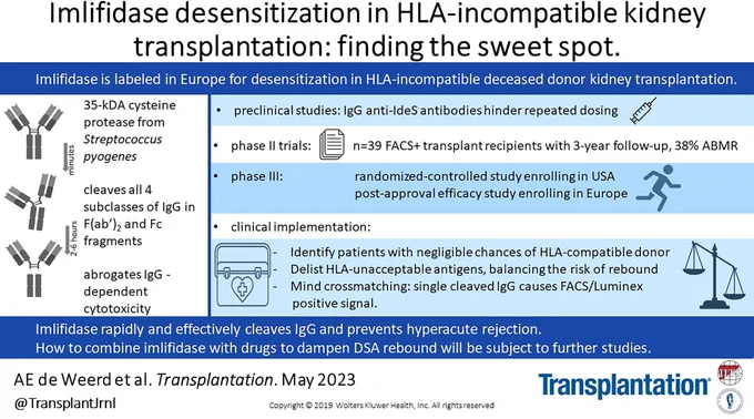 Visual Abstract for the Review entitled Imlifidase Desensitization in HLA-incompatible Kidney Transplantation: Finding the Sweet Spot