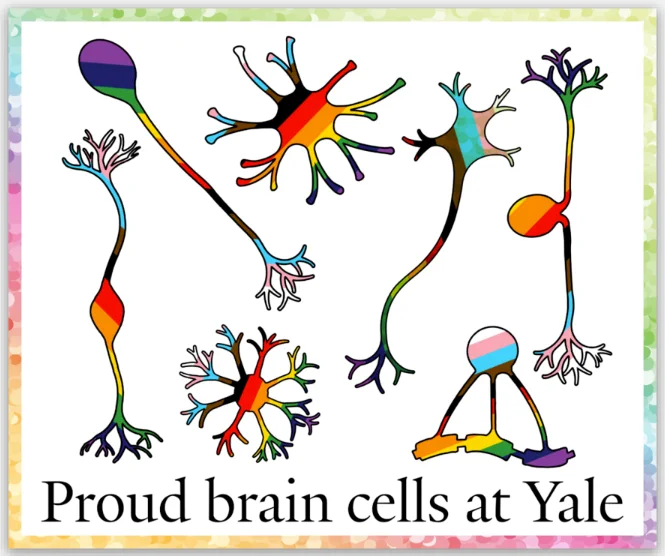 2023 Yale pride stickers saying "Proud brain cells at Yale"