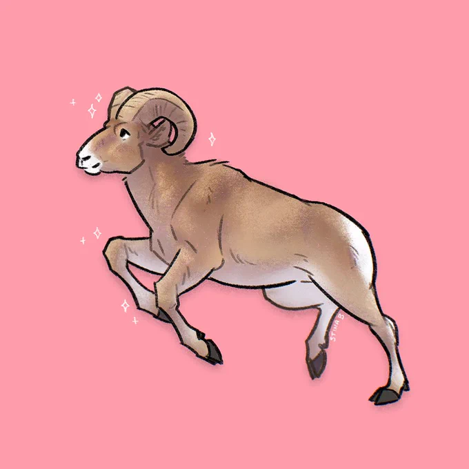 Digital drawing of a bighorn sheep ram in a leaping pose on a deep pink background.