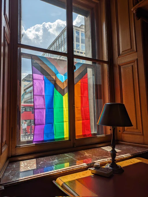 A progress Pride flag hanging proudly inside a wooden window frame in Burlington House, London. The image was taken from the lower library of the Geological Society, overlooking Piccadilly outside .