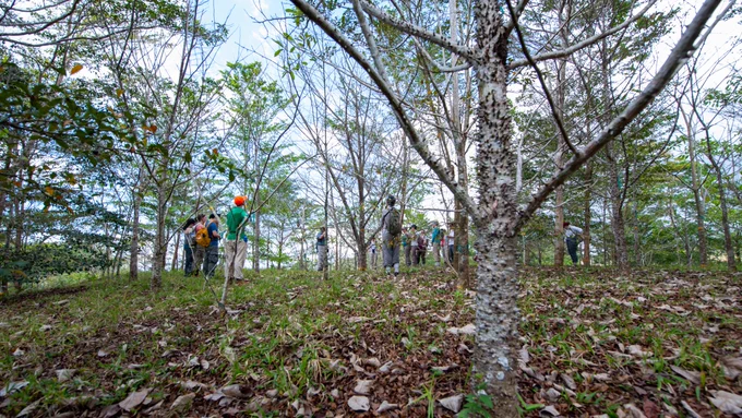 A group of people stand among an array of young trees, including one covered in spikes in the foreground.