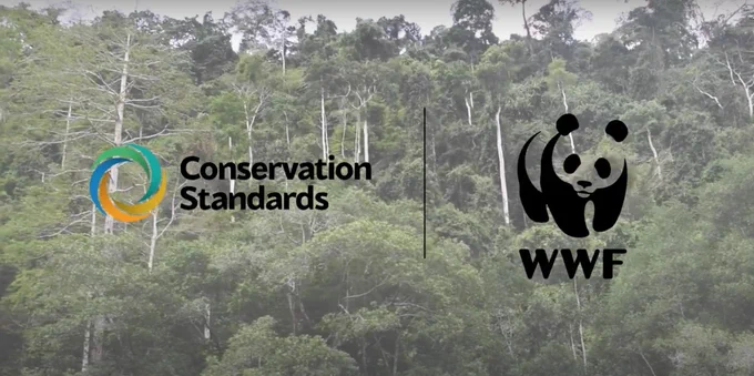 A view of a lush rainforest (seen from about seven feet from the ground) with the Conservation Standards and WWF logos in front of it.