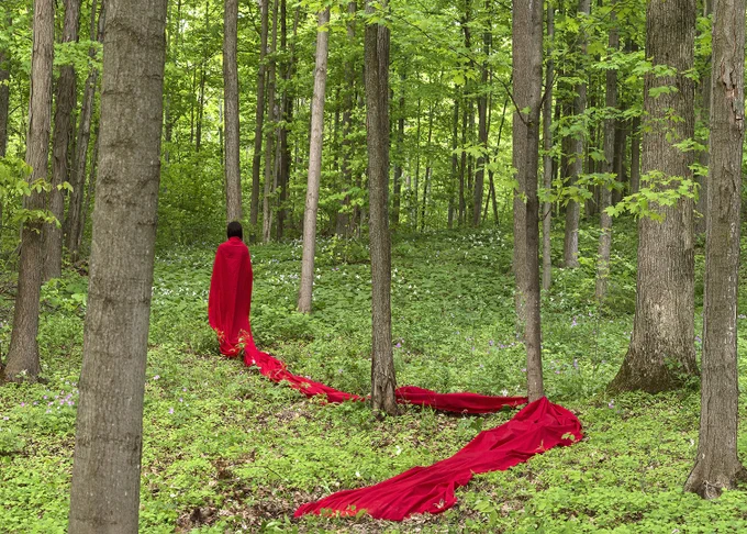 A photograph of a figure wearing a red dress standing in a forest, the train of the dress creates a curved pathway through the image. 