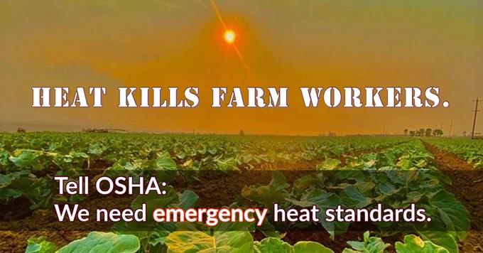 Picture of a field w/sun in background with text overlay saying: HEAT KILLS FARM WORKERS, Tell OSHA: We need emergency heat standards