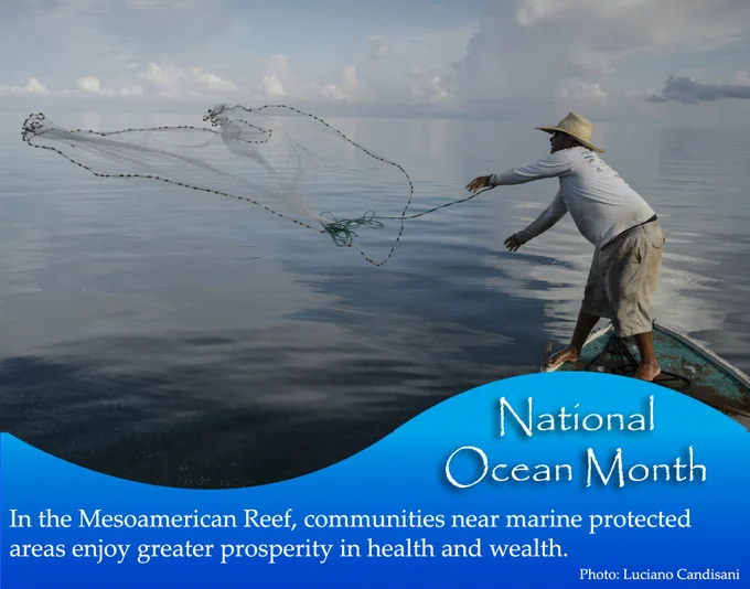 Man on boat wearing straw hat throws a fishing net into the water. An illustration of a blue wave covers the bottom of the photo, with the text "National Ocean Month"