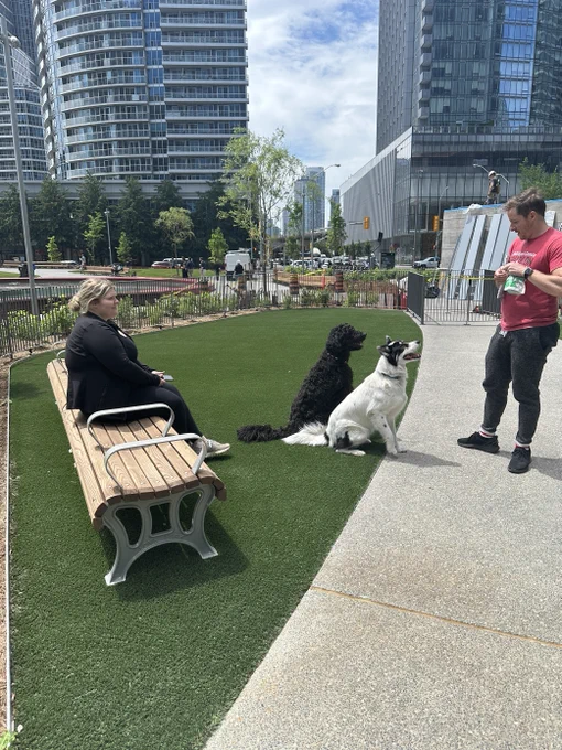 Two dogs and two humans enjoying the off leash dog area. 