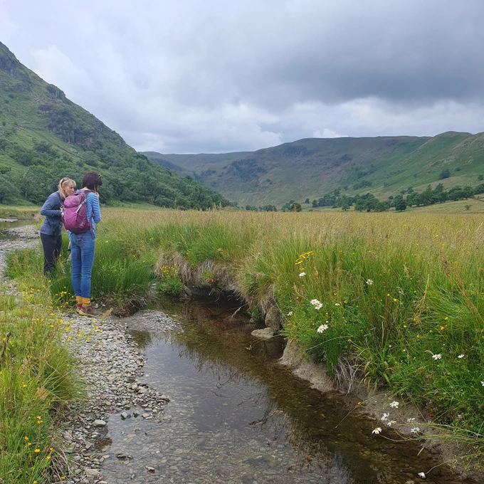 Two people looking at a restored river framed by wildflowers