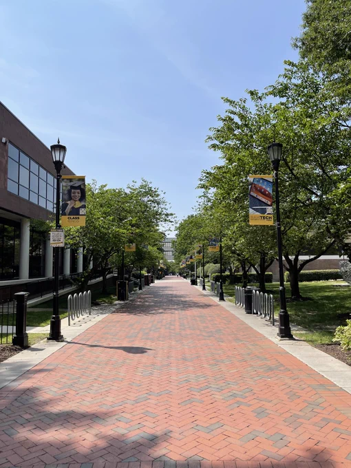 Walkway on VCU's campus with trees and buildings on either side.