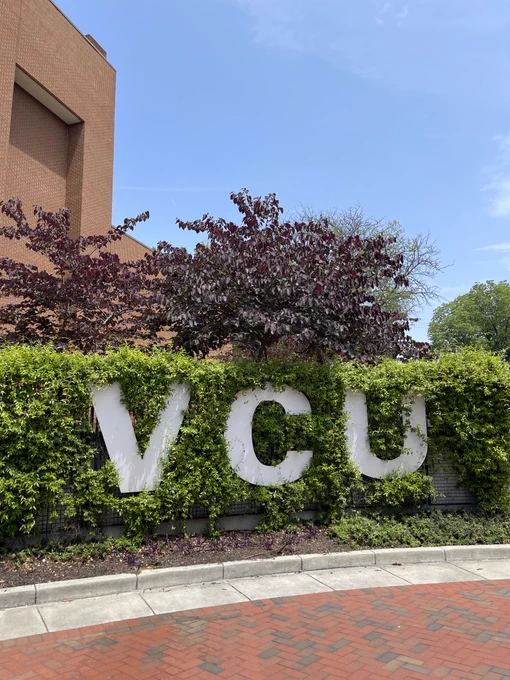 VCU sign surrounded by a bright green bush.