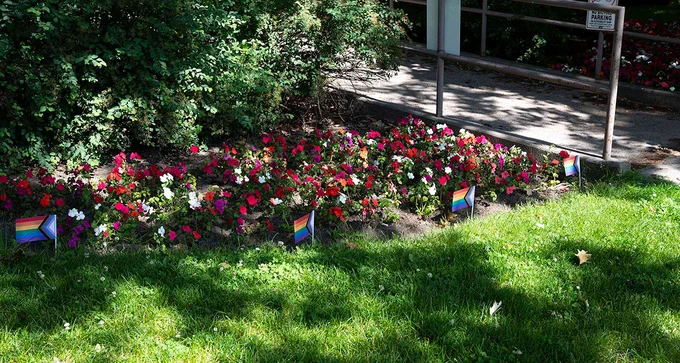 A garden on the Victoria University campus is lined with miniature Pride flags.