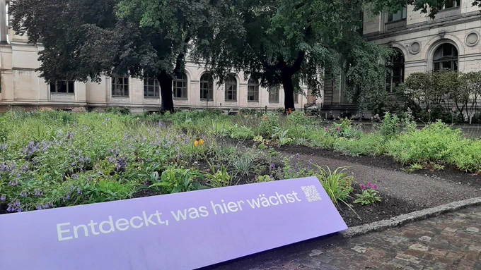 "Pollinator Pathmaker" von Alexandra Daisy Ginsberg, Museum für Naturkunde, 23.6.23, Foto: cwa