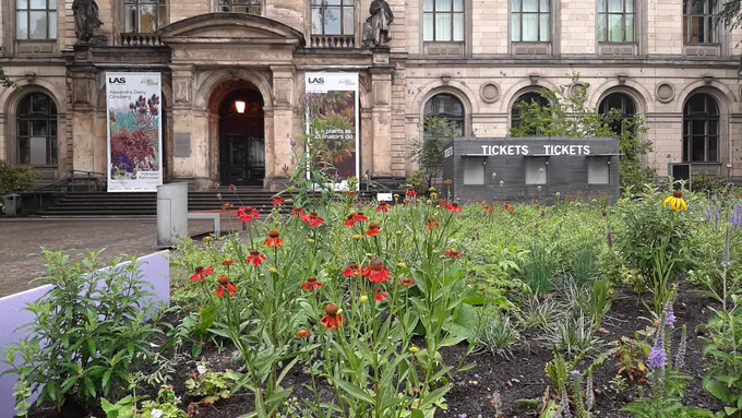 "Pollinator Pathmaker" von Alexandra Daisy Ginsberg, Museum für Naturkunde, 23.6.23, Foto: cwa