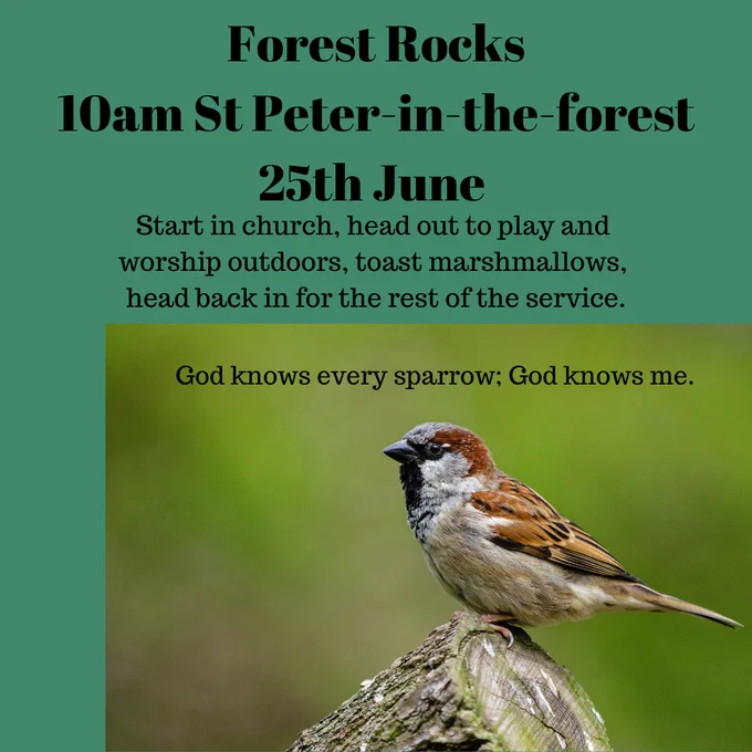 Green square, with sparrow photo.
Text reads: Forest Rocks, 10am St Peter's in the Forest, 25th June. Start in church, head out to play and worship outdoors, toast marshmallows, head back in for the rest of the service.
God knows every sparrow; God knows me.